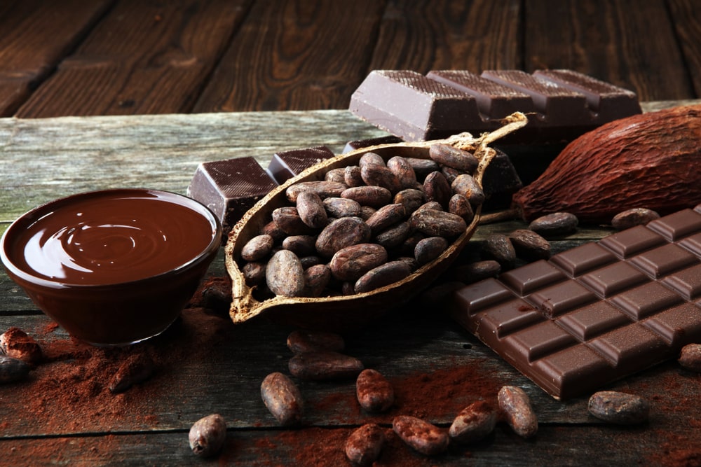 popołudnia o smaku czekolady