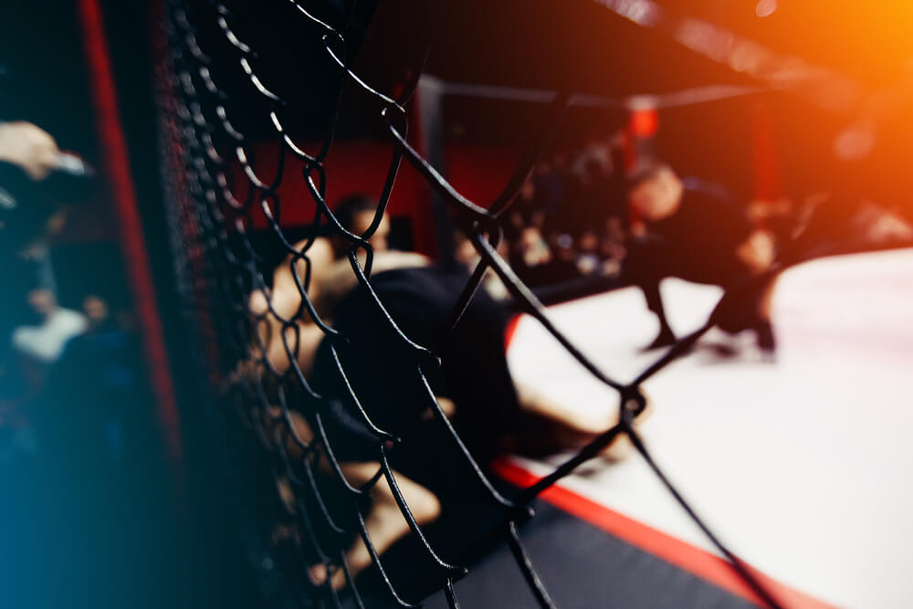 Mariusz Pudzianowski powraca