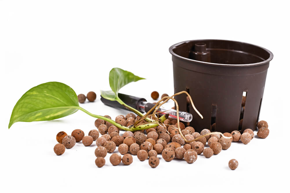 uprawa w semihydroponice